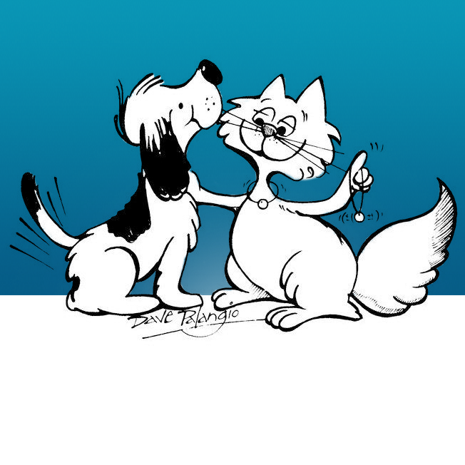 North Bay and District Humane Society 