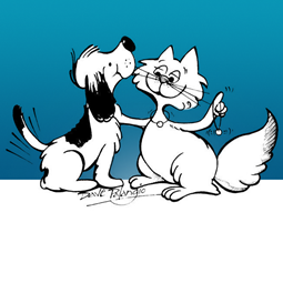 North Bay and District Humane Society 