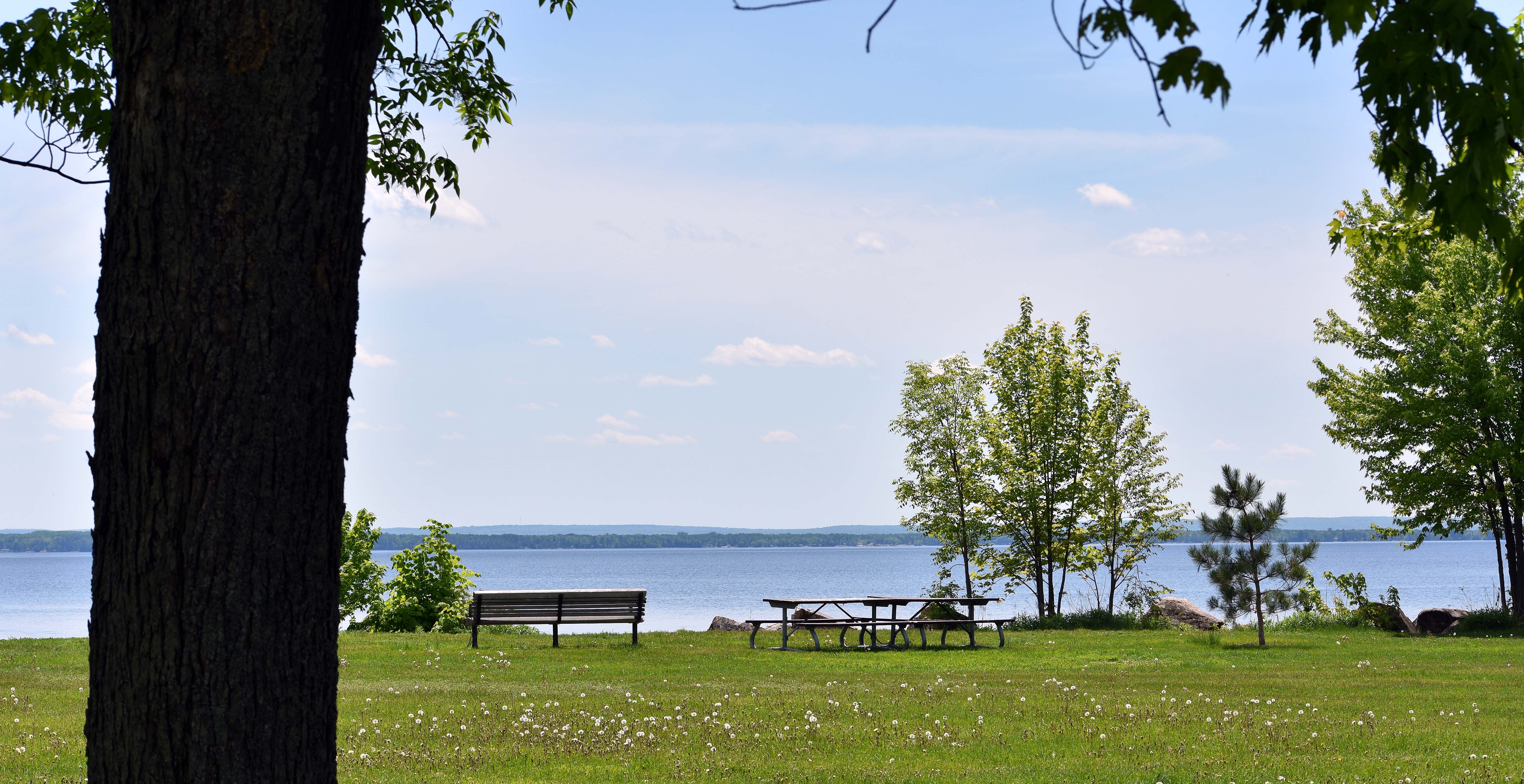 City completes final draft of new Parks Master Plan