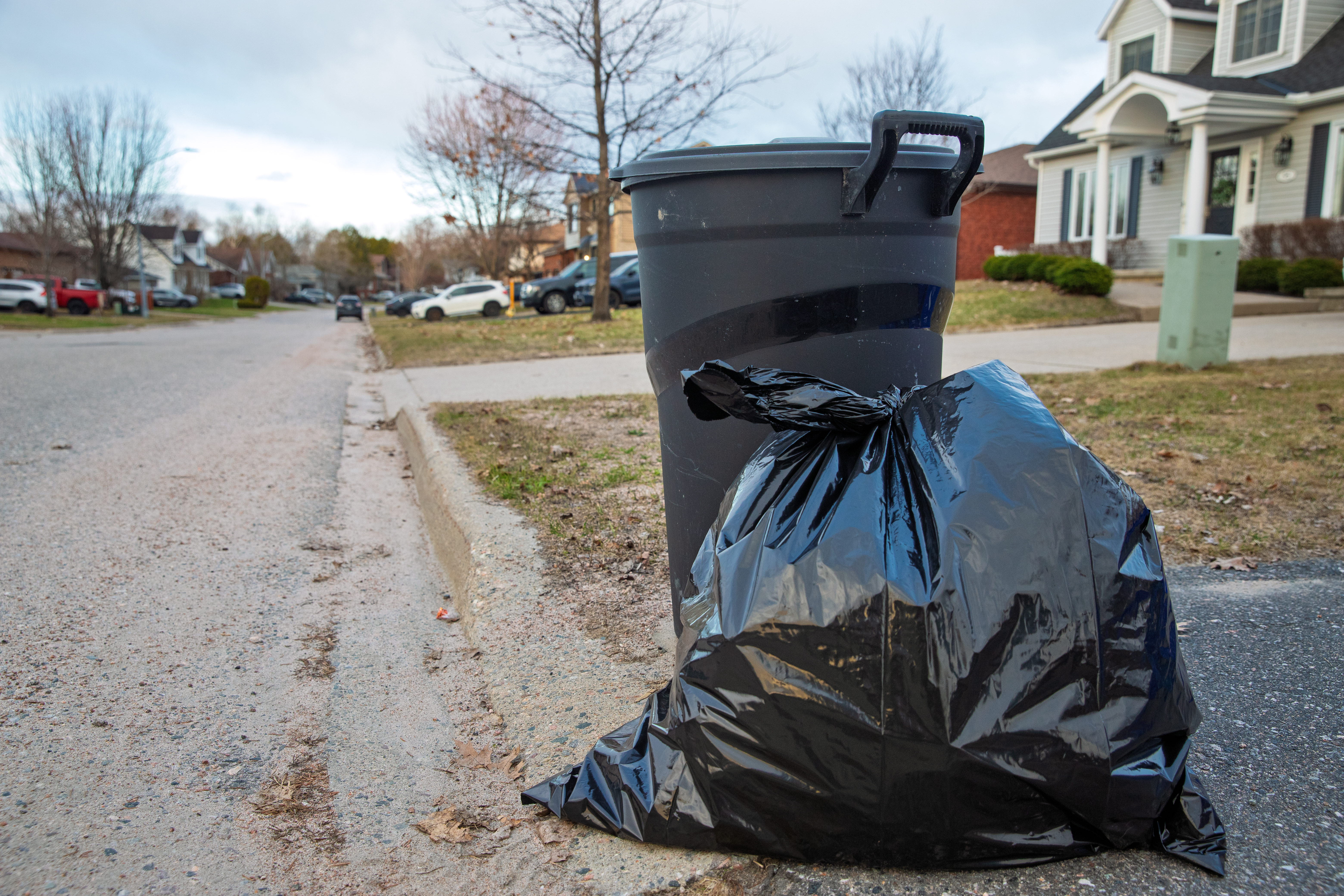 image of a garbage bin and bag at the curb