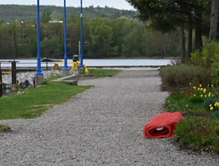 Waterfront Walkway Surface Replacement