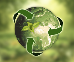 Download 2025 Energy Conservation And Demand Managment Plan